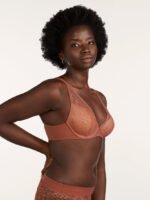 The Lace Plunge Bra